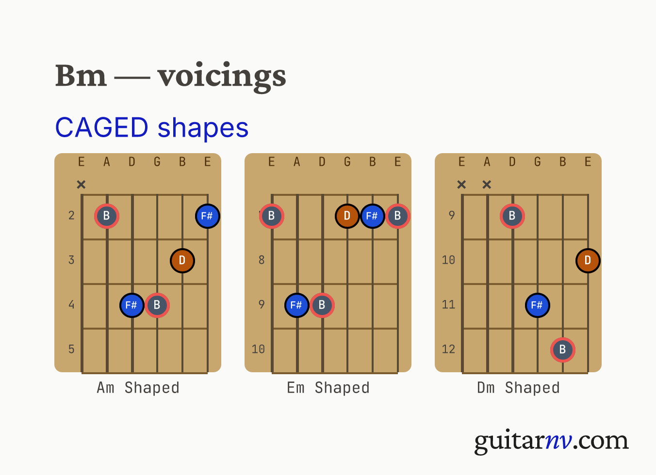 B Minor (Bm) guitar chord — CAGED shapes (C, A, G, E, D forms) shown as fretboard chord diagrams.