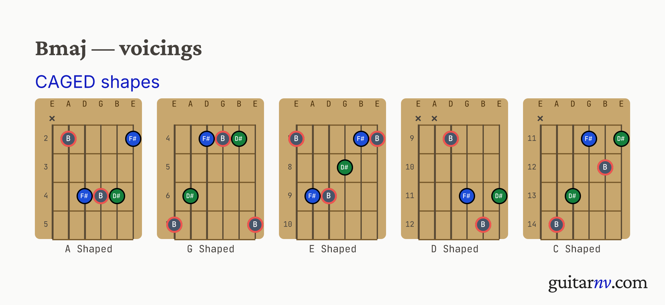 B Major (Bmaj) guitar chord — CAGED shapes (C, A, G, E, D forms) shown as fretboard chord diagrams.