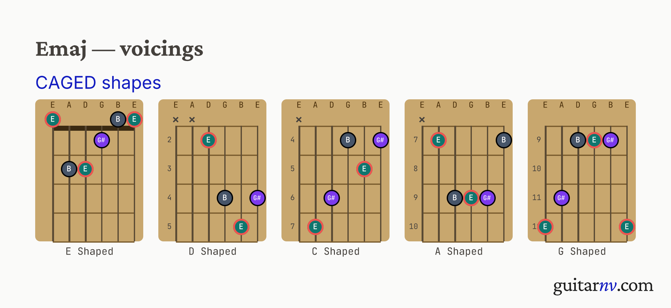 E Major (Emaj) guitar chord — CAGED shapes (C, A, G, E, D forms) shown as fretboard chord diagrams.